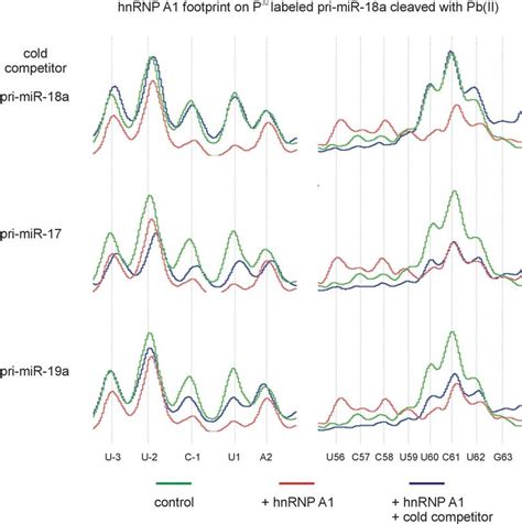 Figure S Pri Mir A Has A High Affinity Towards Hnrnp A Binding