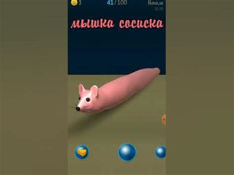 мышка-сосиска - YouTube
