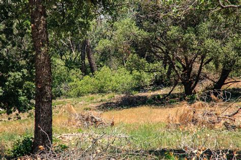 Photo Galleries Cwpp Tuolumne Fire Safe Council