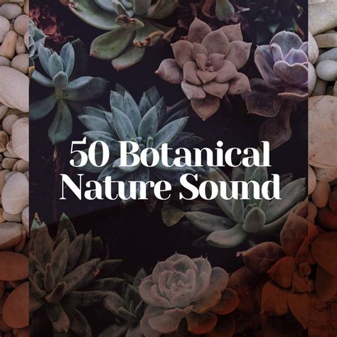 50 Botanical Nature Sound Album By Nature And Rainforest Sounds