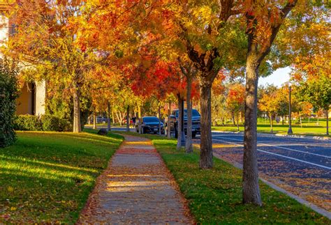 Capturing the Colors: Photography Tips — Jeff Carnie Photography