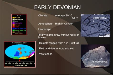 Devonian period