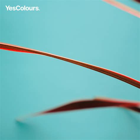 Yescolours Electric Aqua Matt Emulsion Paint