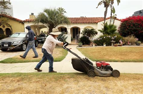 Unveiling The Mysteries Of The Mexican Lawnmower A Complete Guide