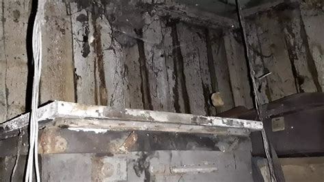 Village Girl Masturbates Hotly In A Cold Barn Feat Lesbian Illusion By Faphouse Xhamster