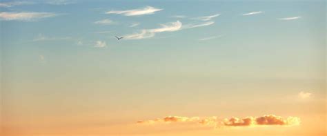 Tuvalu Public Holidays 2026 - PublicHolidays.asia