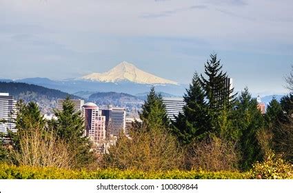 View Washington Park Portland Stock Photo (Edit Now) 100809844