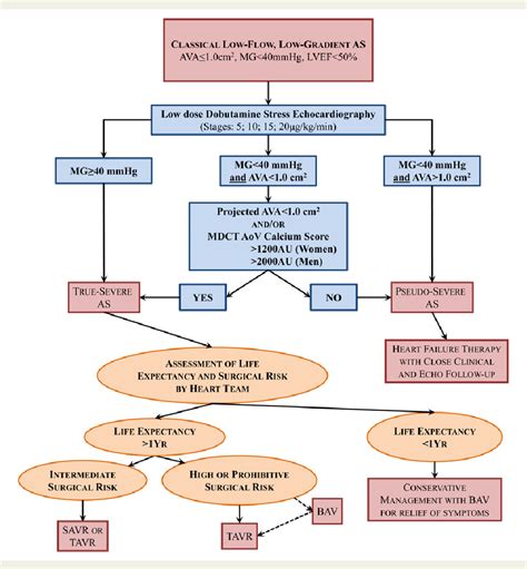 low flow low gradient aortic stenosis guidelines - Mui Fort