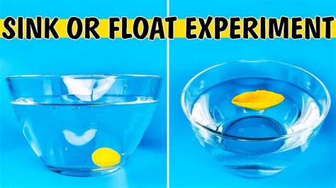 Sink Or Float Density Experiment For Kids Youtube