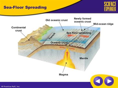 The Process Of Sea Floor Spreading Explained A Detailed Diagram