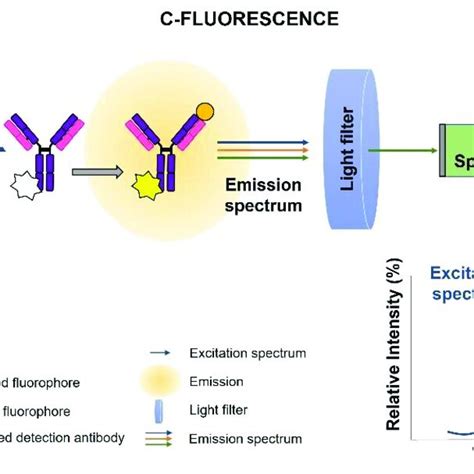 Schematic Diagram Of Raman Spectroscopy Sers Schematic Diagram Of Download Scientific