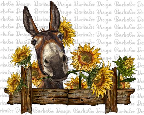 Donkey With Sunflowers Png Sublimation Design Donkey Png Etsy