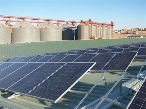 Energ A Solar Fotovoltaica De Autoconsumo En Cooperativa Agropecuaria