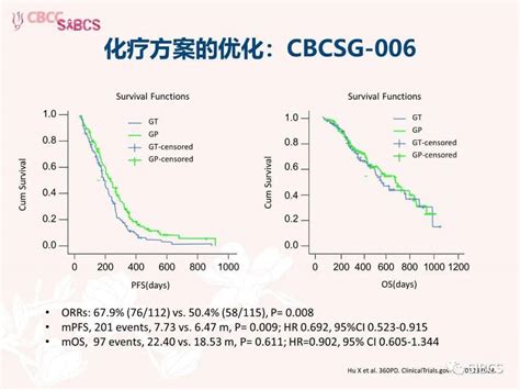 胡夕春：晚期三阴性乳腺癌的gap研究 搜狐大视野 搜狐新闻