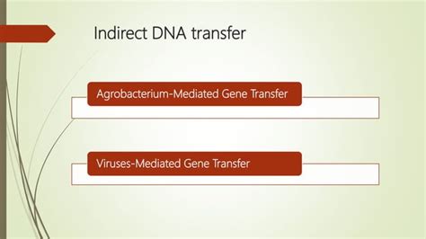 Gene transfer methods