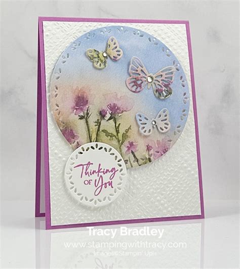 Stampin Up Sketched Butterflies Bundle Stamping With Tracy