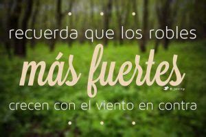 Imagenes Con Frases De Reflexion Sobre Ser Fuerte En La Vida