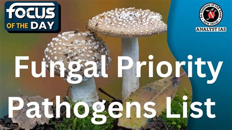 Fungal Priority Pathogens List Focus Of The Day Analyst IAS UPSC