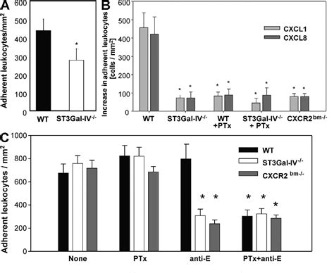 Figure 1 From Sialyltransferase St3gal Iv Controls Cxcr2 Mediated Fi Rm