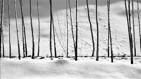 Photos taken by Abbas Kiarostami on display in Tehran | Art photography ...