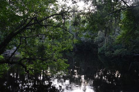 Hillsborough River State Park: Rapids Trail and Florida Trail Loop ...