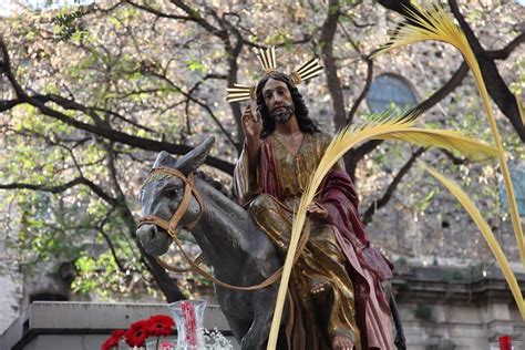 la Pontificia y Real Hermandad y Cofradía de Nazarenos de Nuestro