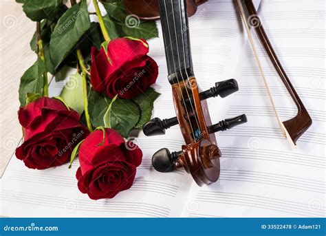 Violin Rose And Music Books Stock Photo Image Of Baroque Chord