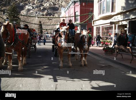 Clydesdale horse in Georgetown Christmas parade Stock Photo - Alamy