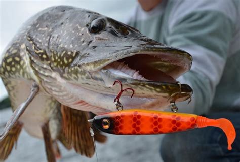 Northern Pike Lures