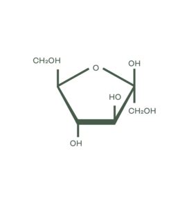 dextrose equivalent de lehmann ingredients