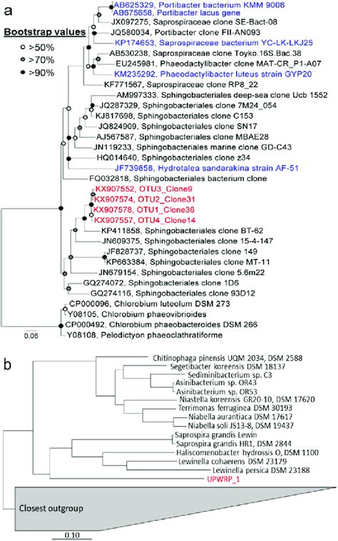 Phylogenetic Analysis Of Marker Genes Retrieved From Upwrp A