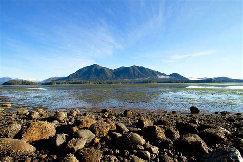 Tofino Mudflats | GoTofino.Com