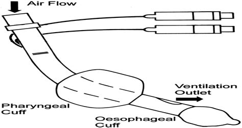 Anesthesia & Analgesia