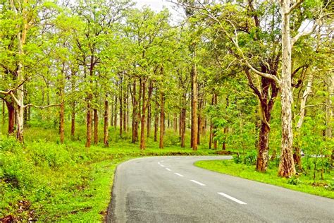 Bangalore to Wayanad -> Distance, Car, Road, Train, Flight, Bus