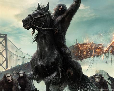 22 Dawn Of The Planet Of The Apes Hd Wallpapers Desktop Background