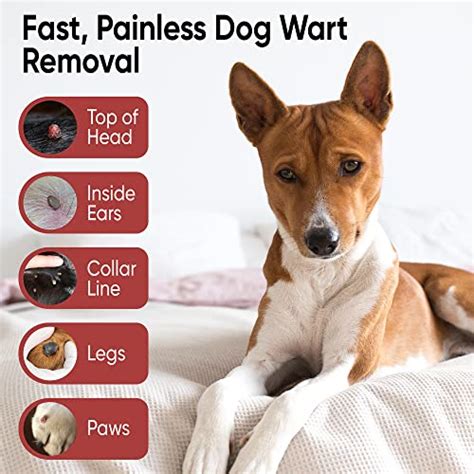 Lazy Pets Dog Wart Remover, Herbal Dog Skin Tag Remover and Canine Warts Treatment Eliminates ...