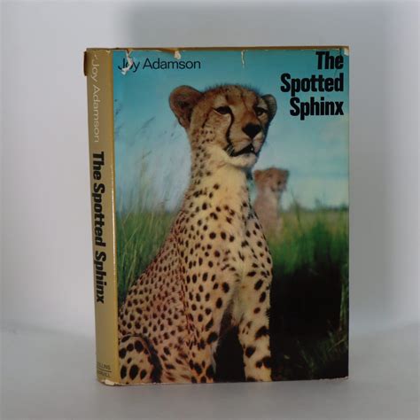 The Spotted Sphinx. - Frost Books and Artifacts Limited