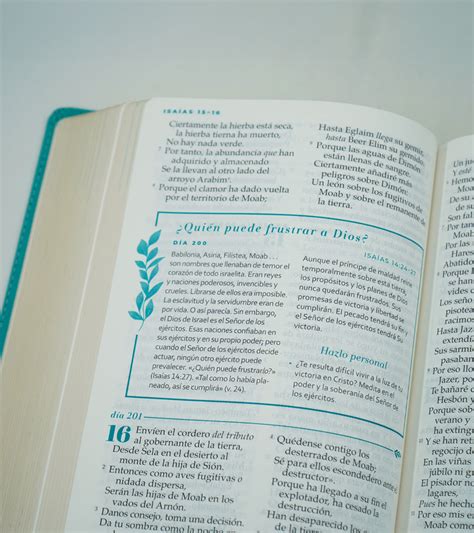 Biblia Devocional Letra Grande Mujer Verdadera Nbla Imitacion Piel