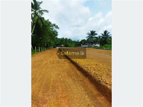 Land Block Out Lands In Moratuwa In Moratuwa SaleMe Lk