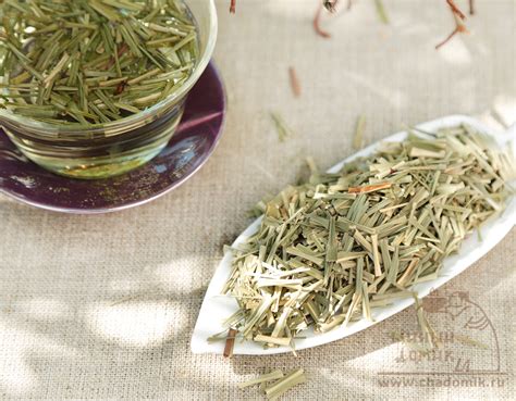 Лимонная трава (Лемонграсс) 柠檬草 25 гр