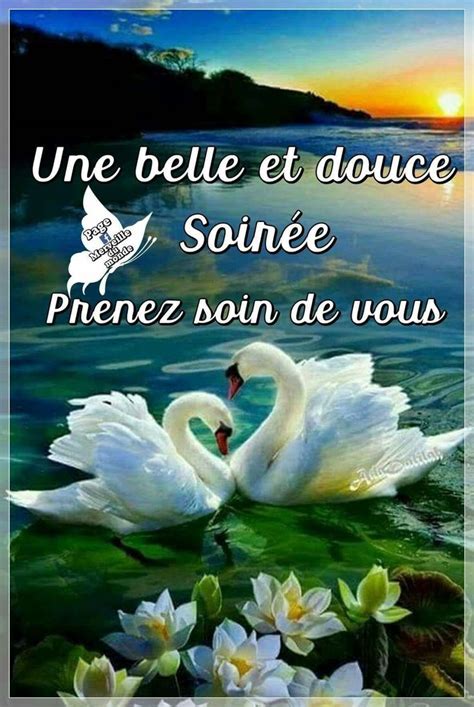 Pingl Sur Bonne Nuit Photo Bonne Journ E Image Bonne Nuit Message