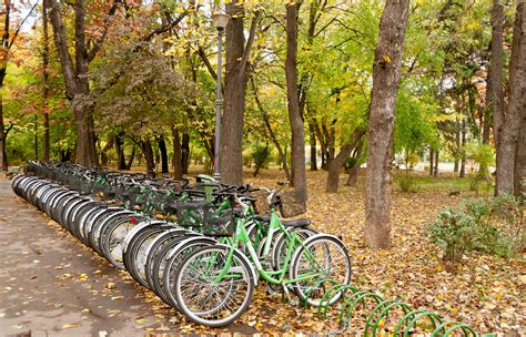Free Images : tree, nature, forest, trail, bicycle, vehicle, autumn ...