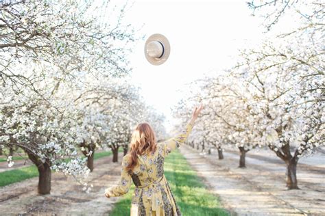 Best Almond Blossoms in California