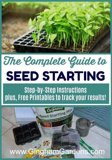 Seed Starting Indoors The Complete Guide Starting Seeds Indoors Seed Starting Chart Seed