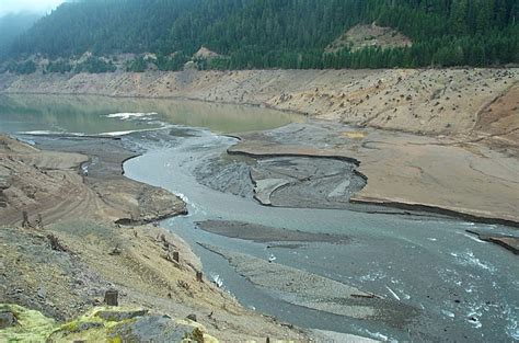 Cougar Reservoir Drawdown Pictures Willamette Salmonid Research