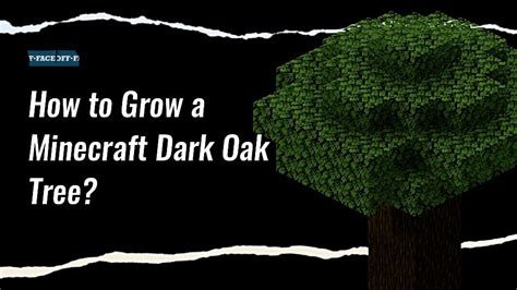 How To Grow A Dark Oak Tree In Minecraft Full Guide Faceoff