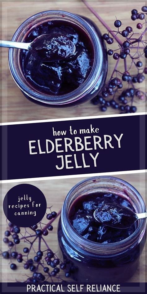 Elderberry Jelly Recipe for Canning | Recipe | Jelly recipes ...