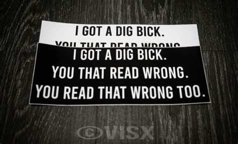 I Got A Dig Bick Bumper Sticker Prank Joke Tailgater Big Read That Wrong 2 Pack Ebay