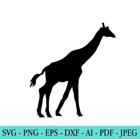 Giraffe SVG Giraffe Silhouette Digital Clipart Vector | Etsy