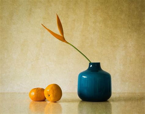 Still Life Photography Blue Vase By Jacqueline Hammer 8